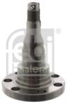 Febi Bilstein Butuc roata, corp axa FEBI BILSTEIN 08340 (08340)