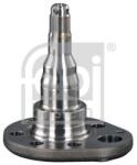 Febi Bilstein Butuc roata, corp axa FEBI BILSTEIN 18348 (18348)