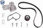 VAICO Set pompa apa + curea dintata VAICO V25-50041-BEK (V25-50041-BEK)