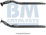 Bm Catalysts Racord evacuare BM CATALYSTS BM51025 (BM51025)