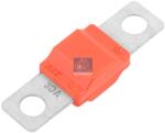 DT Spare Parts Siguranta fuzibila DT Spare Parts 7.25810 (7.25810) - fixbox