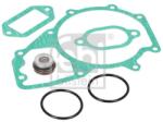 Febi Bilstein Set garnituri, pompa apa FEBI BILSTEIN 31549 (31549)