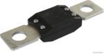 Herth+buss Elparts Siguranta fuzibila HERTH+BUSS ELPARTS 50295842 (50295842) - fixbox