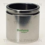 TRISCAN Piston, etrier frana TRISCAN 8170 235419 (8170 235419)