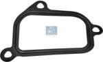 DT Spare Parts Garnitura, carcasa termostat DT Spare Parts 1.24163 (1.24163)