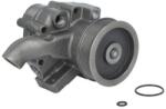 THERMOTEC Pompa apa, racire motor THERMOTEC WP-CA119 (WP-CA119)