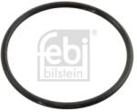 Febi Bilstein Garnitura termostat FEBI BILSTEIN 10258 (10258)