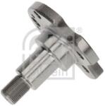 Febi Bilstein Butuc roata, corp axa FEBI BILSTEIN 1002975 (1002975)