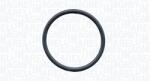 Magneti Marelli Pompa apa, racire motor MAGNETI MARELLI 350984312000 (350984312000)