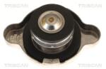 TRISCAN Buson, radiator TRISCAN 8610 4 (8610 4)
