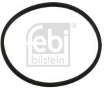Febi Bilstein Garnitura termostat FEBI BILSTEIN 11834 (11834)