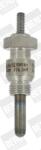 BorgWarner (BERU) Bujie incandescenta, incalzire auxiliara BorgWarner (BERU) GH001