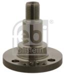 Febi Bilstein Butuc roata, corp axa FEBI BILSTEIN 30501 (30501)