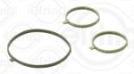 ELRING Set garnituri, pompa apa ELRING 161.840 (161.840)