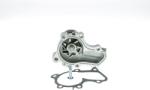 AISIN Pompa apa, racire motor AISIN WPM-055V (WPM-055V)