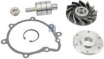 DT Spare Parts Set reparatie, pompa apa DT Spare Parts 3.90606 (3.90606)