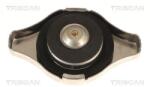 TRISCAN Buson, radiator TRISCAN 8610 17 (8610 17)