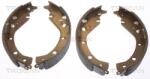 TRISCAN Set saboti frana TRISCAN 8100 13034 (8100 13034) - fixbox