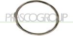 PRASCO Rama, proiector ceata PRASCO VG0381242 (VG0381242)