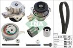 INA Set pompa apa + curea dintata INA 530 0699 31 (530 0699 31)