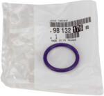 Original Psa Garnitura, carcasa termostat ORIGINAL PSA 9813217680 (9813217680)