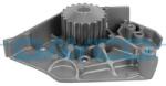 DAYCO Pompa apa, racire motor DAYCO DP017 (DP017)