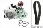 INA Set pompa apa + curea dintata INA 530 0743 30 (530 0743 30)