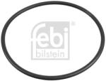 Febi Bilstein Inel de etansare, butuc roata FEBI BILSTEIN 174689 (174689)