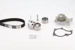 Continental Ctam Set pompa apa + curea dintata CONTINENTAL CTAM CT1099WP2 (CT1099WP2) - fixbox