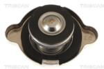 TRISCAN Buson, radiator TRISCAN 8610 6 (8610 6)