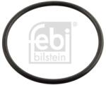 Febi Bilstein Garnitura termostat FEBI BILSTEIN 11443 (11443)