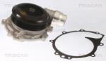 TRISCAN Pompa apa, racire motor TRISCAN 8600 23089 (8600 23089)