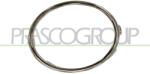 PRASCO Rama, proiector ceata PRASCO VG0381241 (VG0381241)