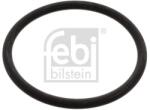 Febi Bilstein Garnitura termostat FEBI BILSTEIN 17966 (17966)