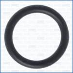 AJUSA Garnitura termostat AJUSA 16513100 (16513100)