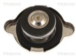 TRISCAN Buson, radiator TRISCAN 8610 1 (8610 1)