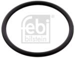 Febi Bilstein Garnitura, carcasa termostat FEBI BILSTEIN 100077 (100077)