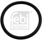 Febi Bilstein Garnitura termostat FEBI BILSTEIN 17970 (17970)