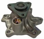 AISIN Pompa apa, racire motor AISIN WPT-132 (WPT-132)