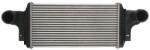 THERMOTEC Intercooler THERMOTEC DAM028TT (DAM028TT)