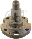 Febi Bilstein Butuc roata, corp axa FEBI BILSTEIN 30276 (30276)