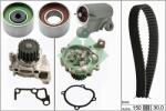 INA Set pompa apa + curea dintata INA 530 0519 30 (530 0519 30)