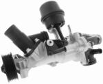 VAICO Pompa apa, racire motor VAICO V30-50100 (V30-50100)