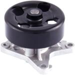 GATES Pompa apa, racire motor GATES WP0196 (WP0196)