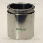 TRISCAN Piston, etrier frana TRISCAN 8170 234810 (8170 234810)