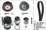 INA Set pompa apa + curea dintata INA 530 0361 32 (530 0361 32)