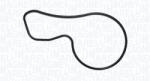 Magneti Marelli Pompa apa, racire motor MAGNETI MARELLI 350984288000 (350984288000)