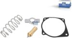 DT Spare Parts Set reparatie, pompa apa DT Spare Parts 7.00075 (7.00075)
