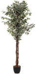 Brius Planta artificiala ficus cu ghiveci, frunzis bogat in doua nuante de verde, poliester, fara intretinere, 97x86x185 cm (JJ-110341A)