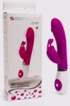 LyBaile Vibrator Rabbit Pretty Love Gene 20cm Vibrator